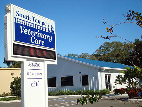 South Tampa Veterinary Care - Veterinarian in Tampa, FL